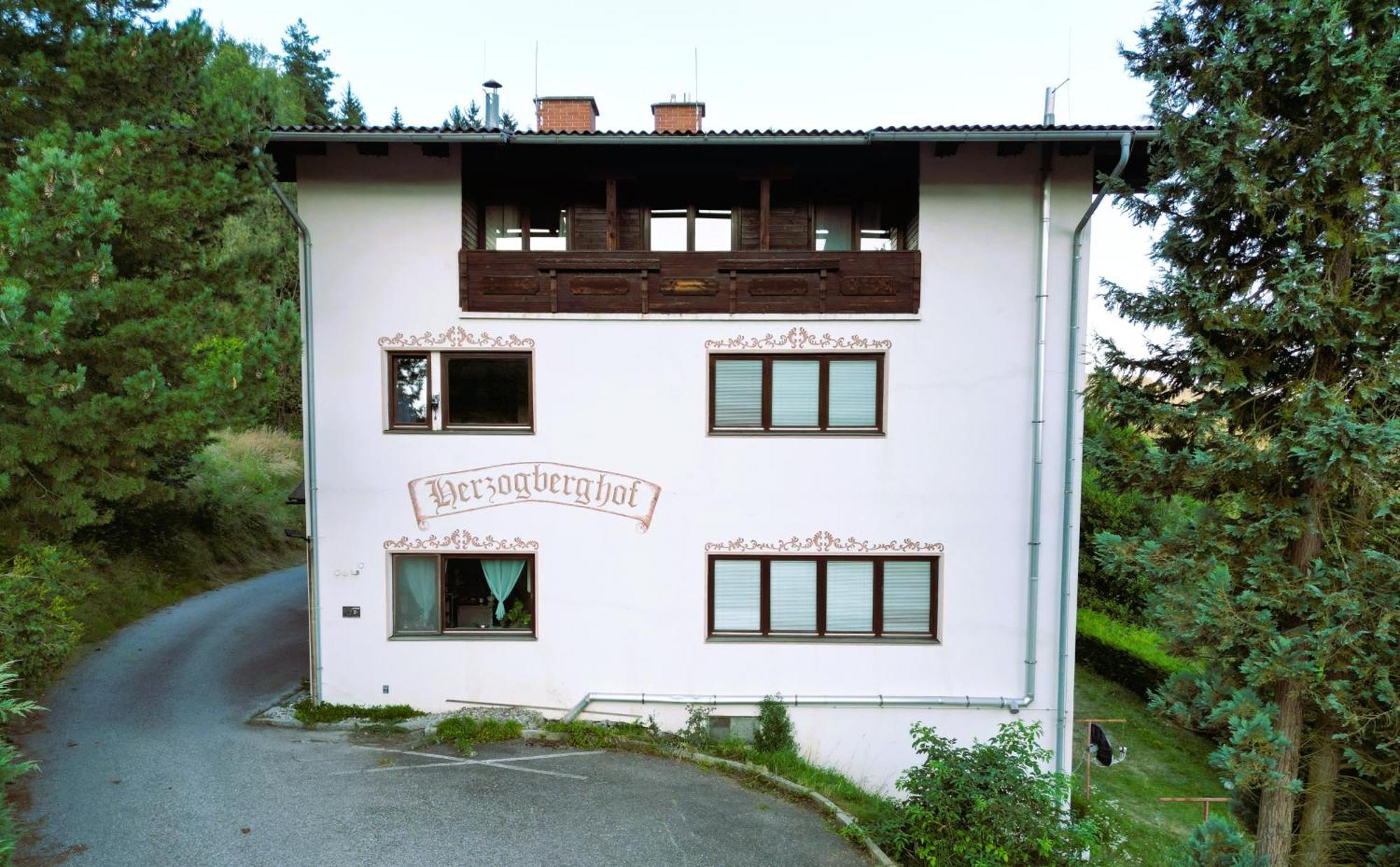 Herzogberghof Kindberg Exterior photo